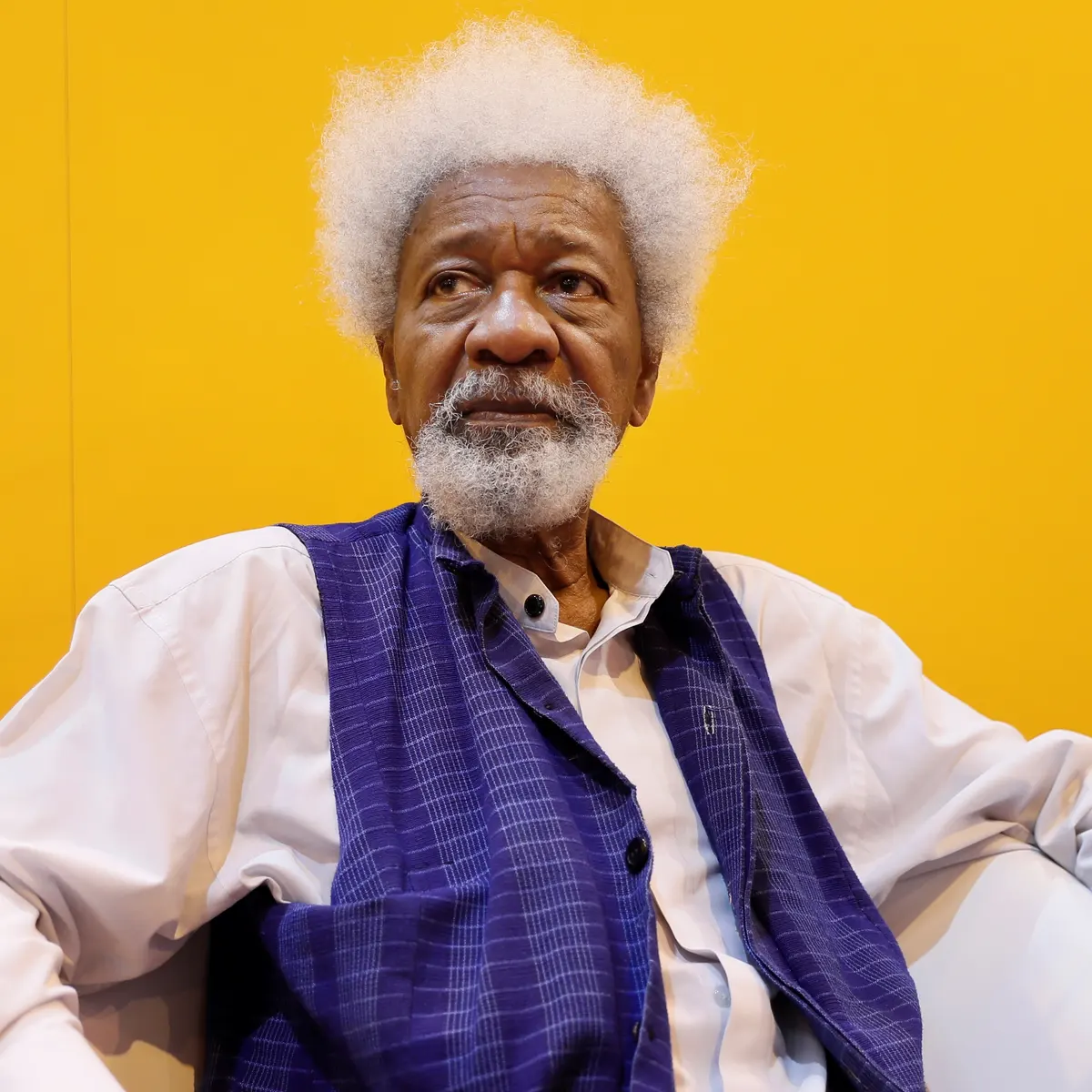 Wole Soyinka - Datti Should Allow The Court To Do Their Job 