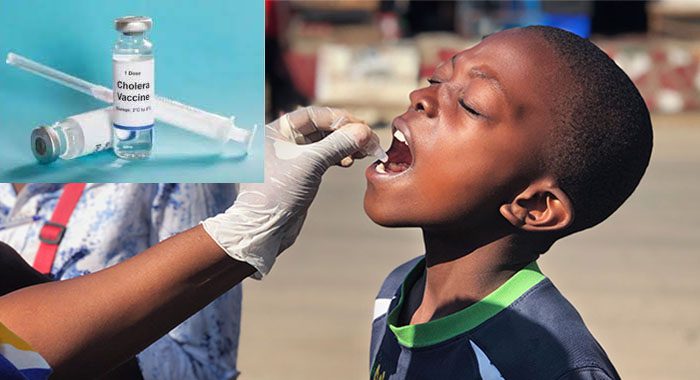 Nigeria records 1,336 cholera cases, 79 deaths