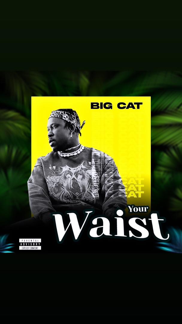 TMAQTALK MUSIC: BIG CAT - YOUR WAIST