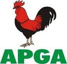 Obi Okoye emerges APGA chairman in Anambra