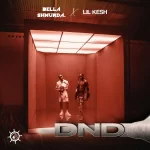 TMAQTALK MUSIC : Bella Shmurda – DND Ft. Lil Kesh