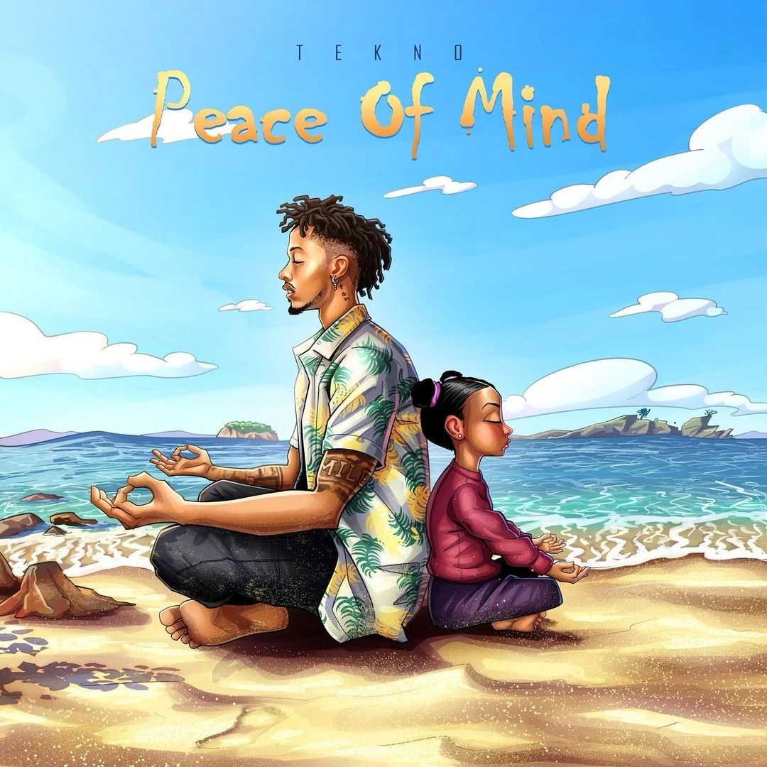 TMAQTALK MUSIC : Tekno – Peace Of Mind