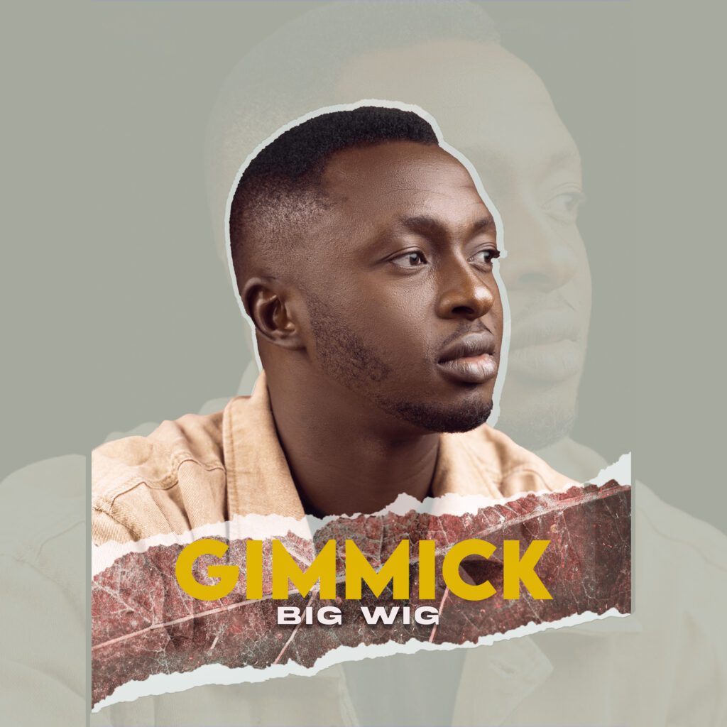 TMAQTALK MUSIC : BiG WiG – GIMMICK