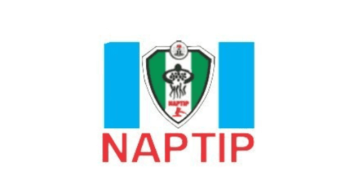 NAPTIP rescues 1,085 victims of human trafficking in Kano