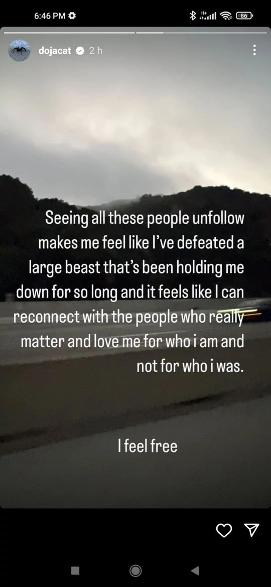 Doja Cat after reportedly losing 500,000 Instagram followers - I feel free