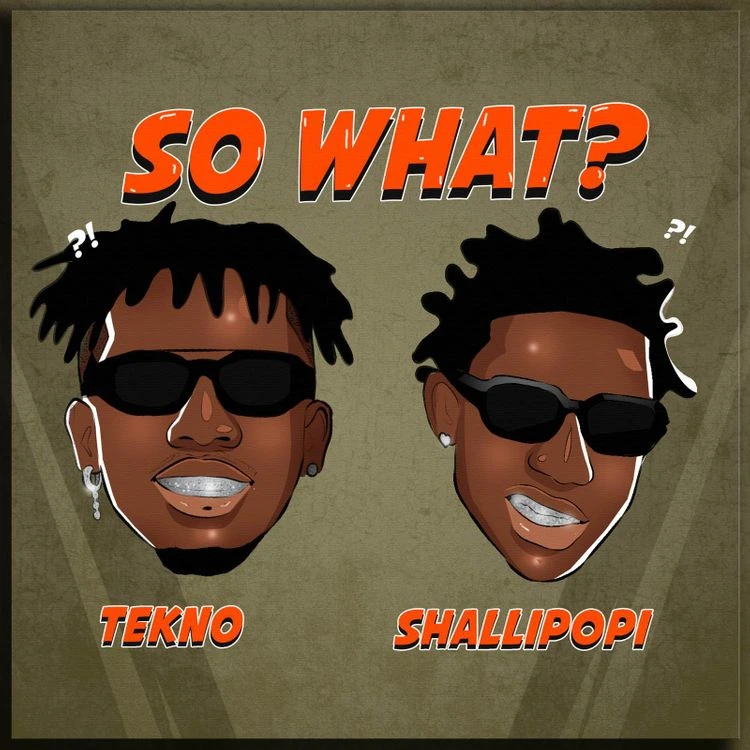 TMAQTALK MUSIC : Tekno – So What? ft. Shallipopi