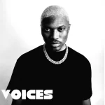 TMAQTALK MUSIC: Diamond Jimma – Voices