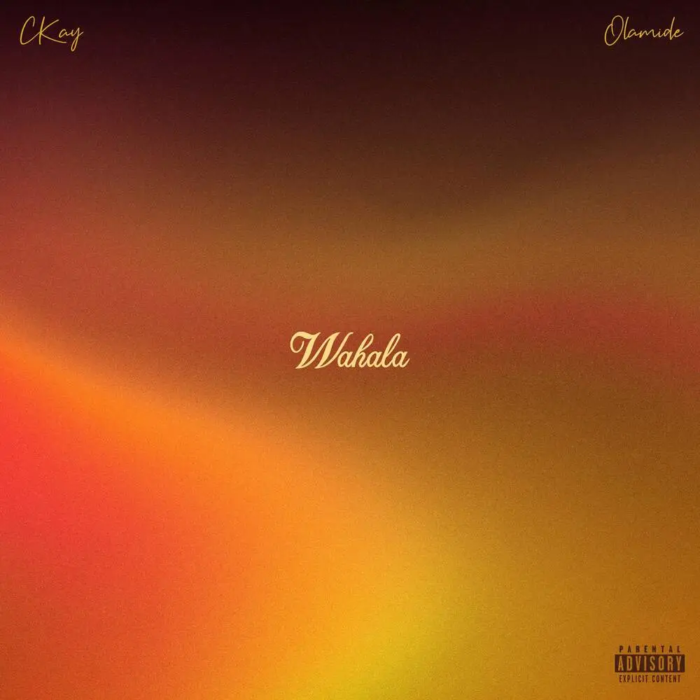 TMAQTALK MUSIC : CKay – Wahala ft. Olamide 6