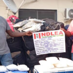 Breaking the Chains of International Drug Trafficking: NDLEA's Bold Move to Curb Illicit Trade