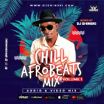 Dj Shinski – Chill Afrobeat 2020 Naija Mix Vol 1