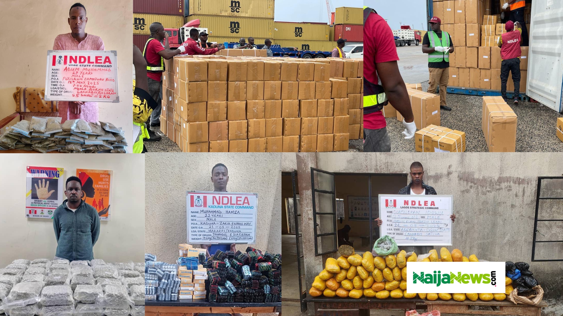 NDLEA Arrests Two British Men
