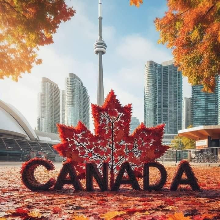 Most Prestigious Scholarships in Canada and How to Qualify (2025 Guide)