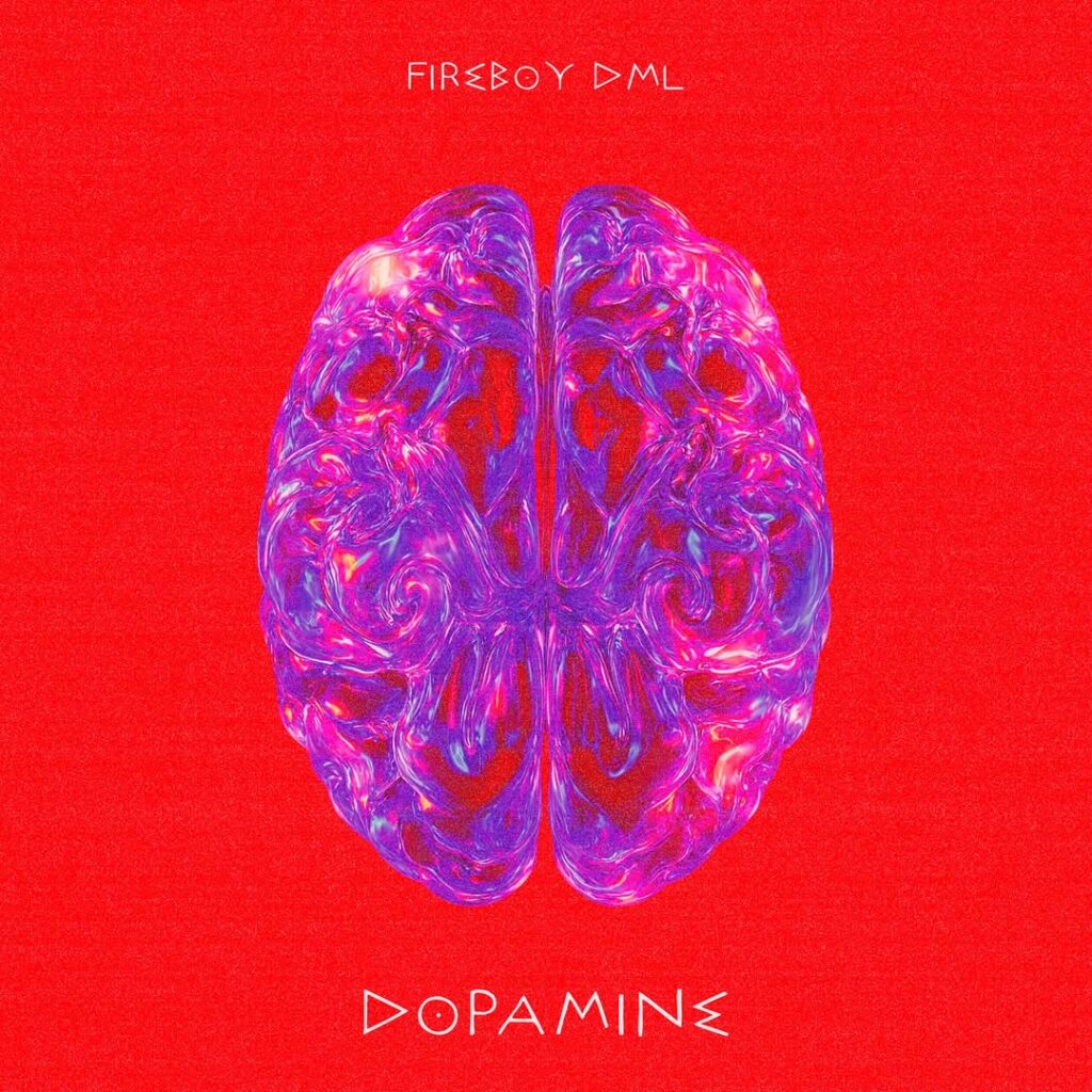 Fireboy DML