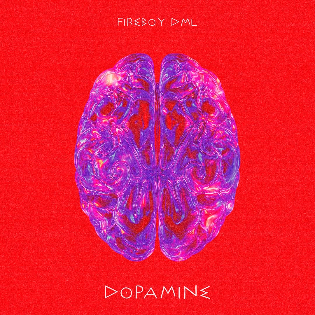 Fireboy DML