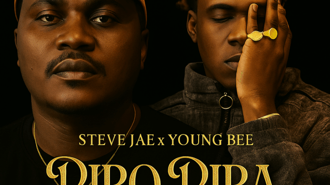 Steve Jae x Young Bee - Piro Pira