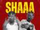 Oba Hype Ft. Drupz - Skushis