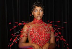 Ms DSF