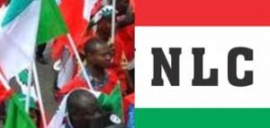 NLC