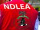 NDLEA