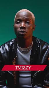 Sir Tmizzy