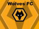 Wolves’