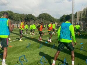 Super Eagles
