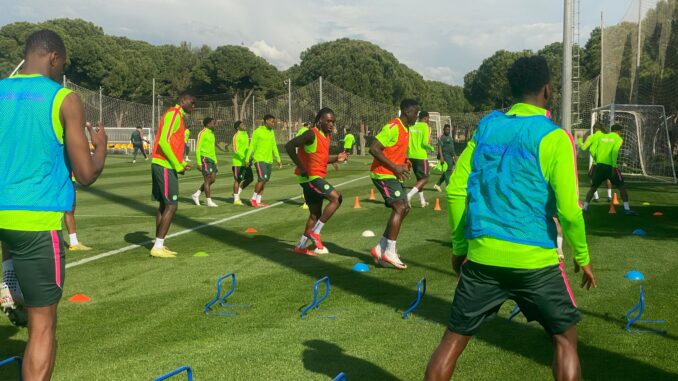 Super Eagles