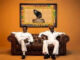 Beniikay puts Takoradi on the Map as 'Number 1' featuring RCee Tops iTunes Nigeria Chart & Audiomack Worldwide Trends